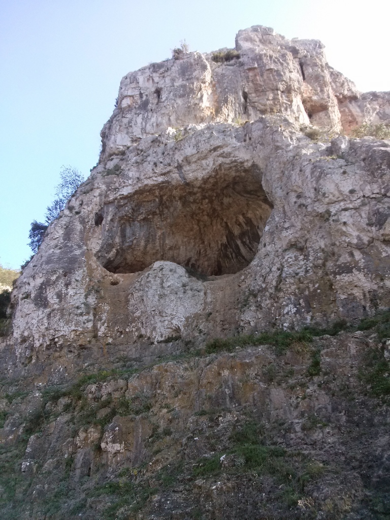 CAM02954 (768 x 1024)