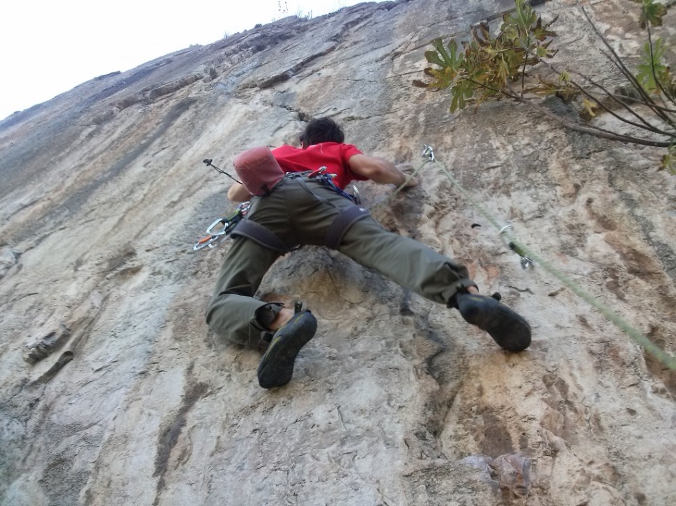 CAM02967 (1024 x 768)