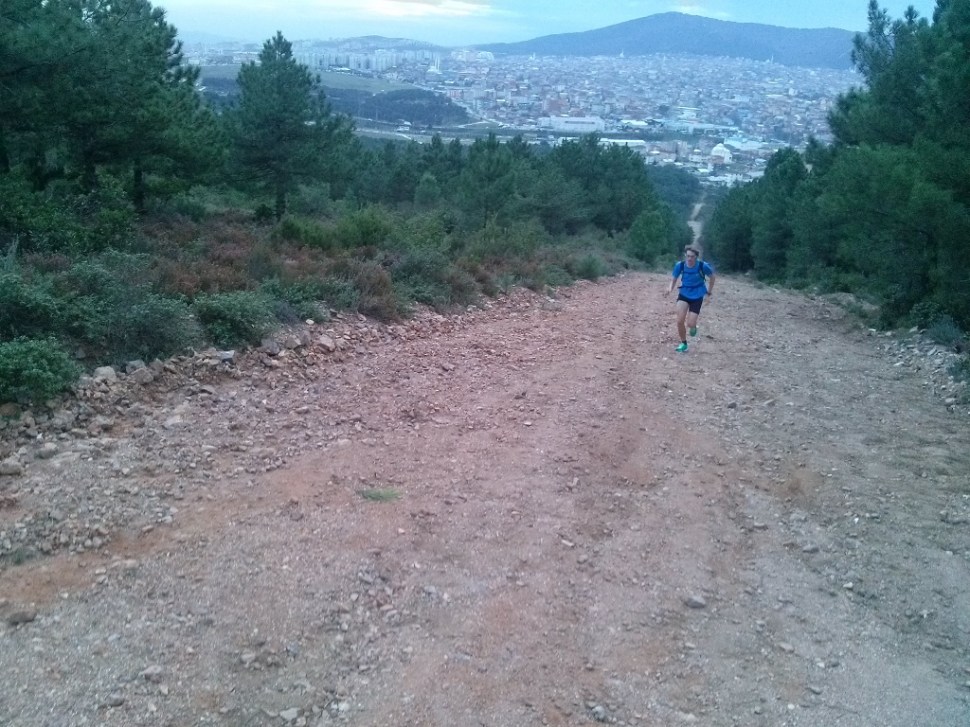 CAM03049 (1024 x 768)