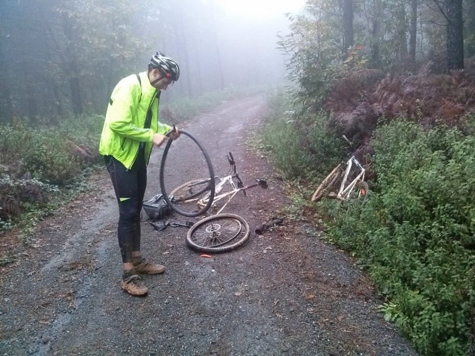 CAM03078 (1024 x 768)