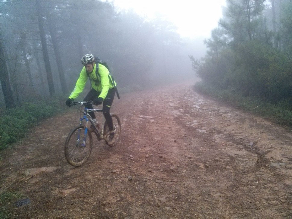 CAM03088 (1024 x 768)