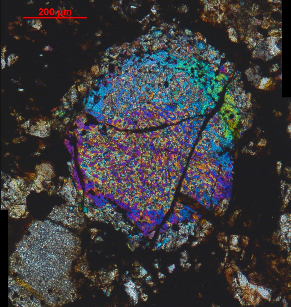 Hondrula z večimi skorjicami (970 x 1024)