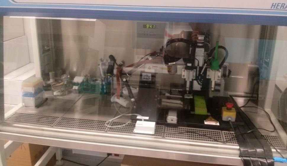 CAM02620 (1024 x 768)