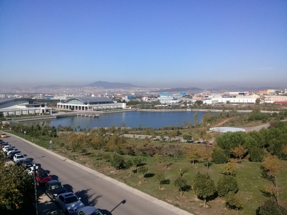 CAM03005 (1024 x 768)