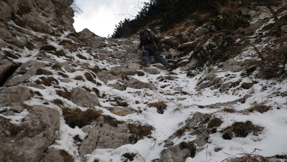 IMGP7488 (1024 x 578)