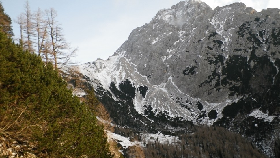 IMGP7490 (1024 x 578)