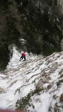 IMGP7507 (578 x 1024)