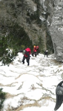 IMGP7510 (578 x 1024)