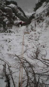 IMGP7515 (578 x 1024)