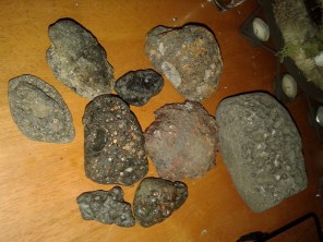 Božica Vajs (2) - kopija (1024 x 768)