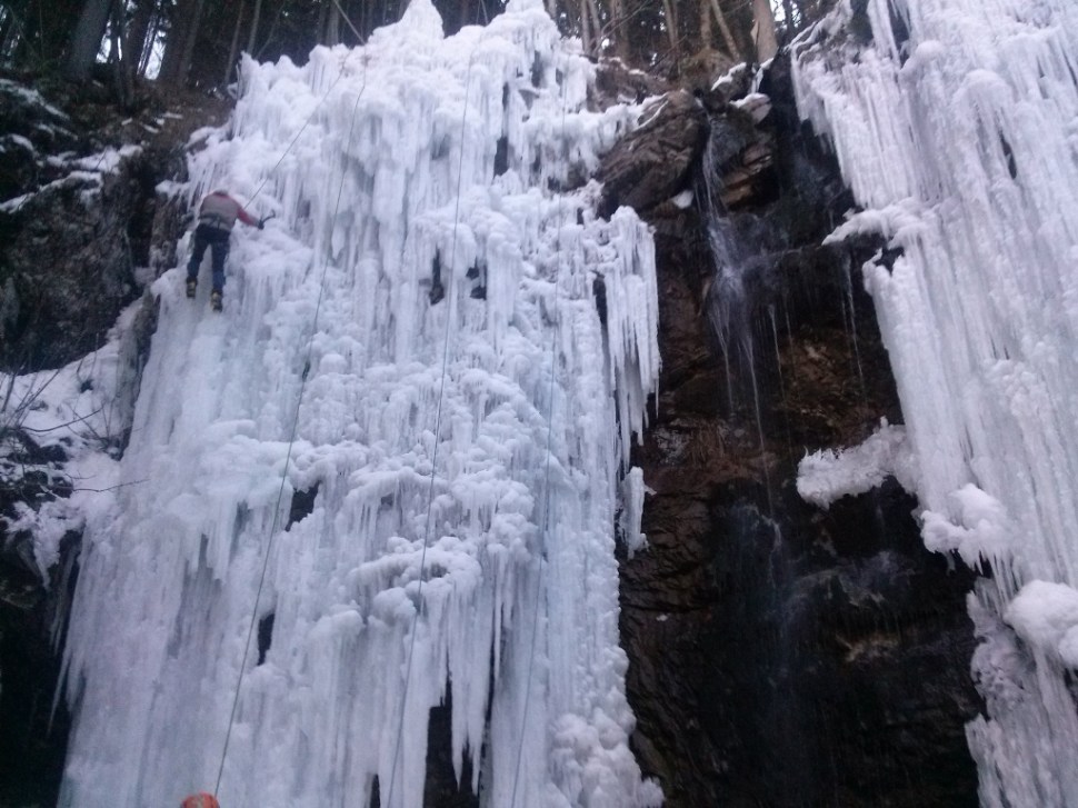 CAM03638 (1024 x 768)