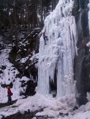 CAM03644 (768 x 1024)