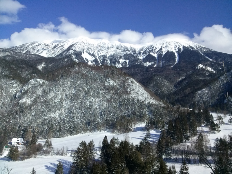 CAM03683 (800 x 600)