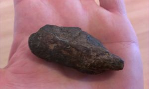 cid__external_images_media_23486$IMAG1543