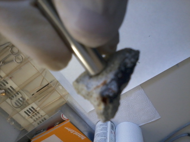 Fotografija0718 (640 x 480)