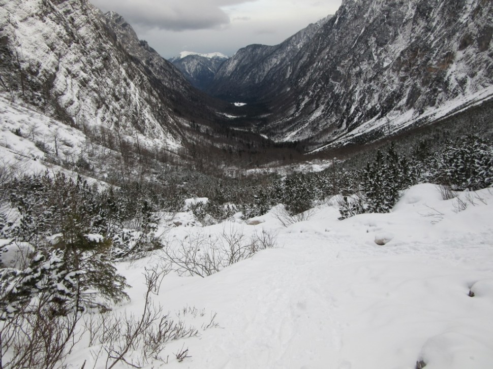 IMG_0008 (1024 x 768)