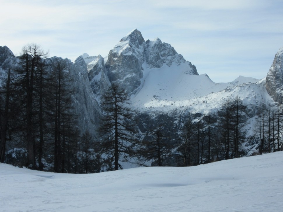 IMG_0046 (1024 x 768)