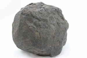 IMG_0560 (1024 x 683)