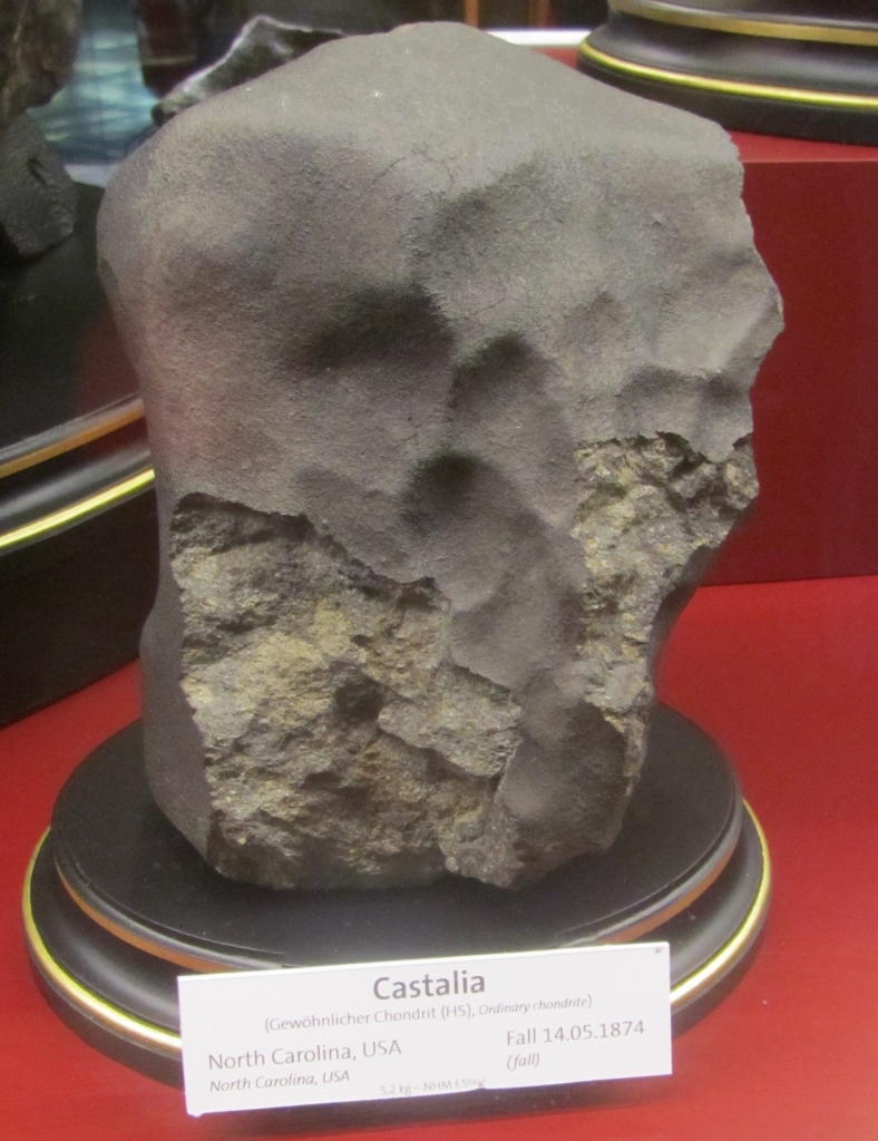 IMG_2802 (788 x 1024)