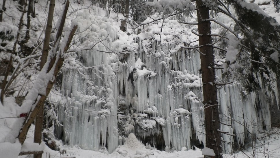 IMGP7528 (1024 x 578)