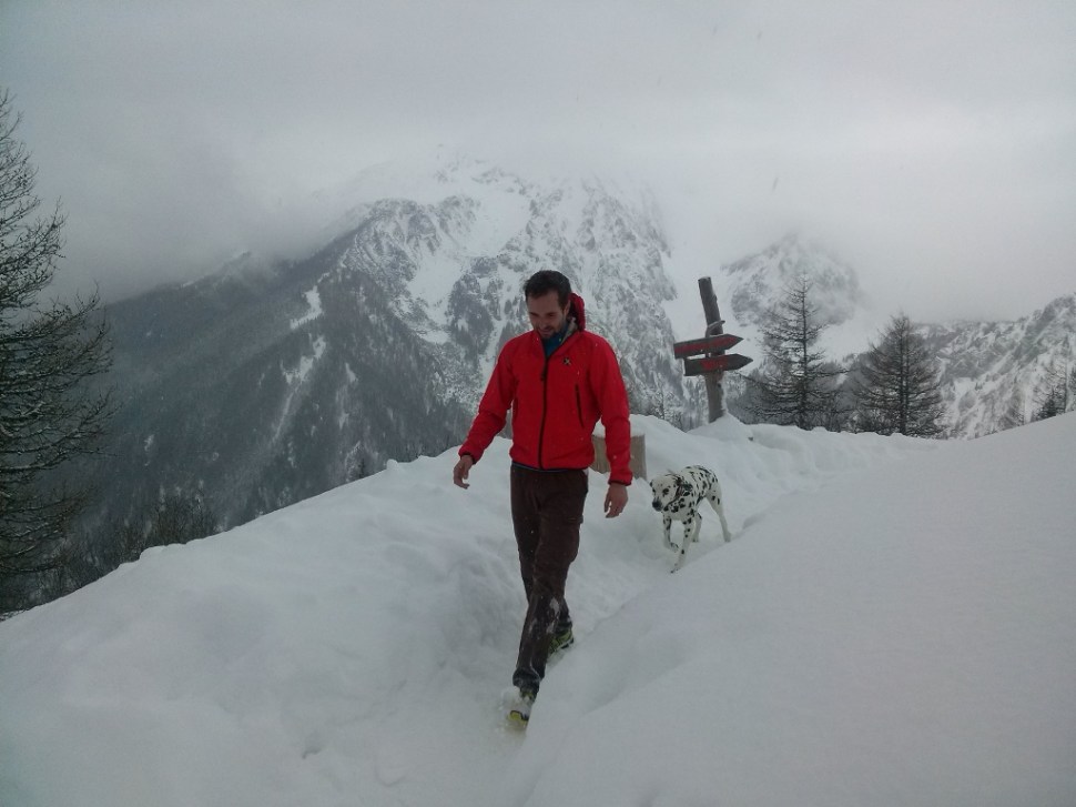 CAM03778 (1024 x 768)