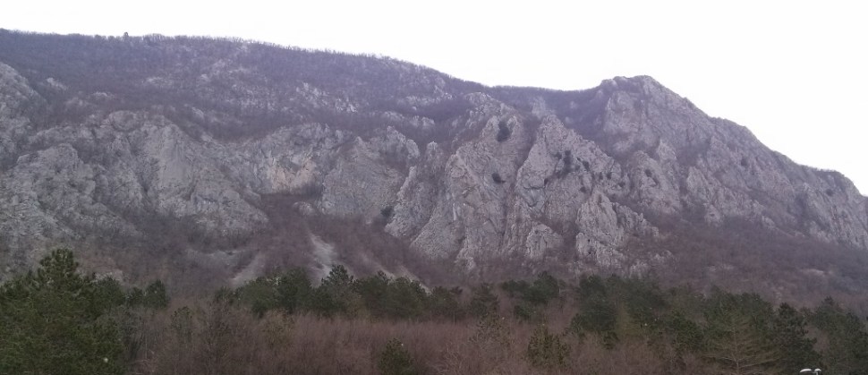 CAM03997 (1024 x 443)