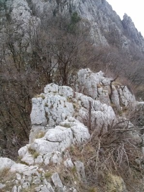 CAM04004 (768 x 1024)