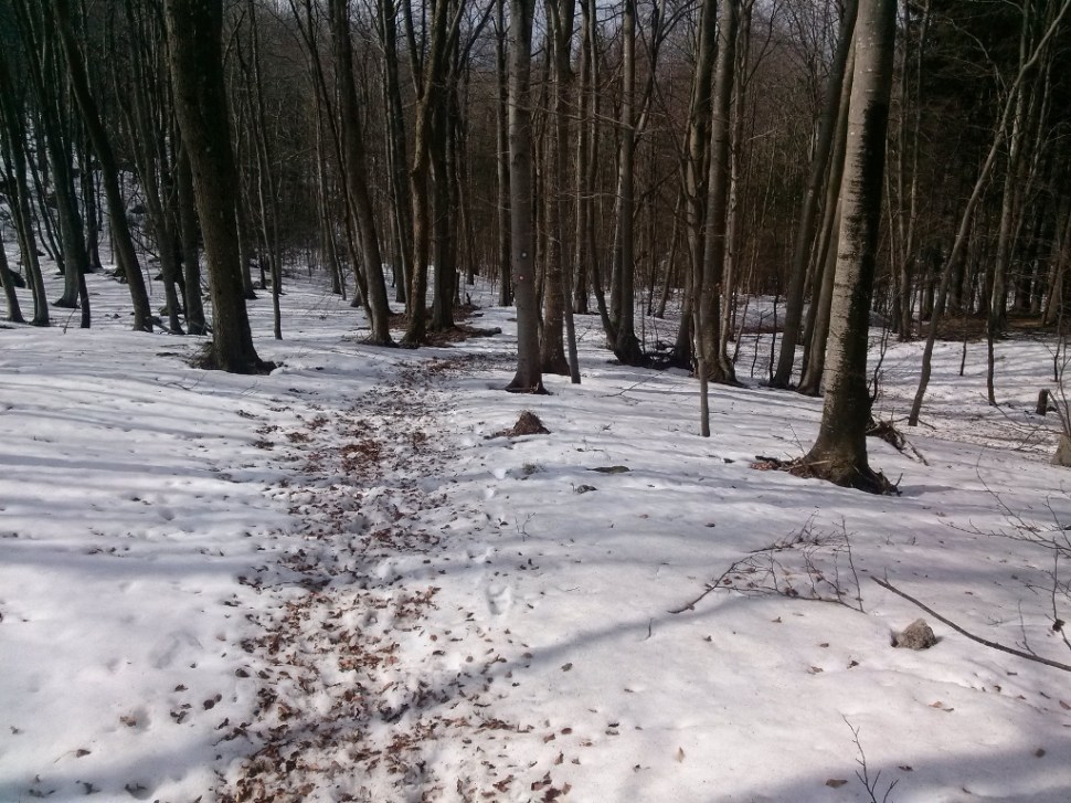 CAM04045 (1024 x 768)