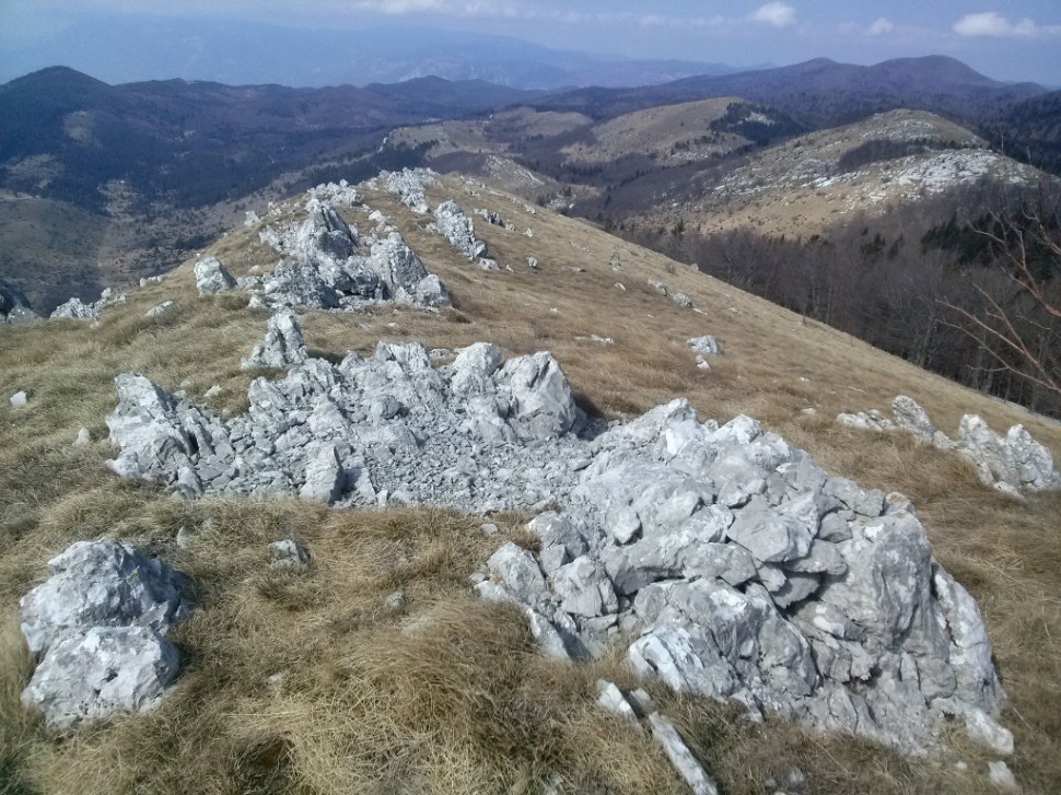 CAM04046 (1024 x 768)