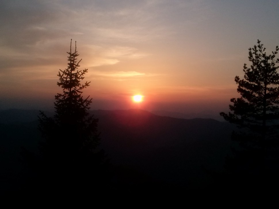 CAM04095 (1024 x 768)