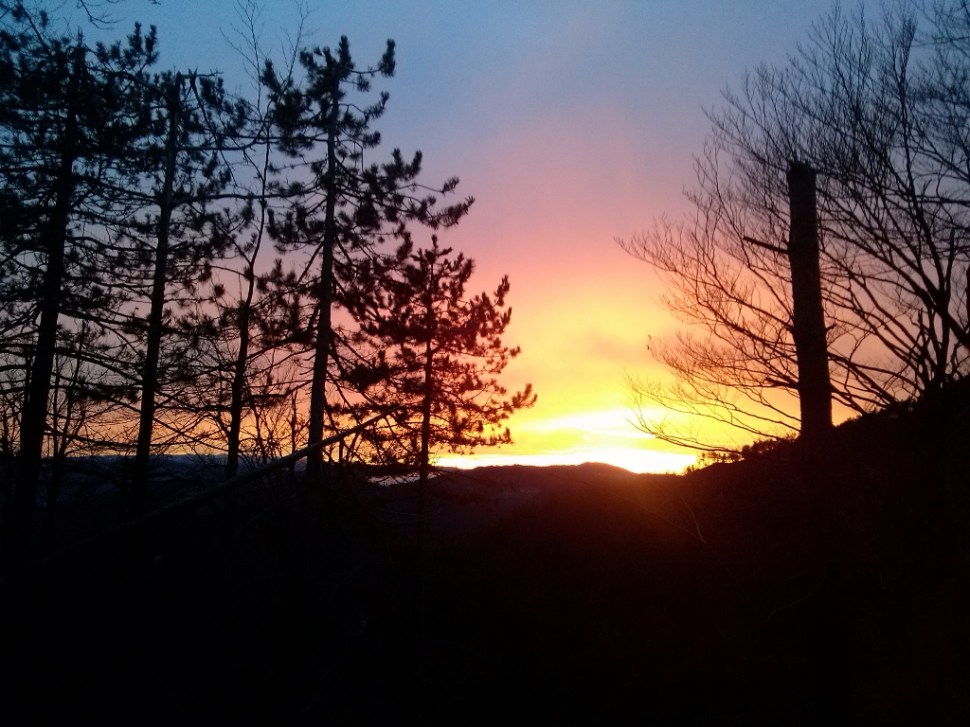 CAM04124 (1024 x 768)