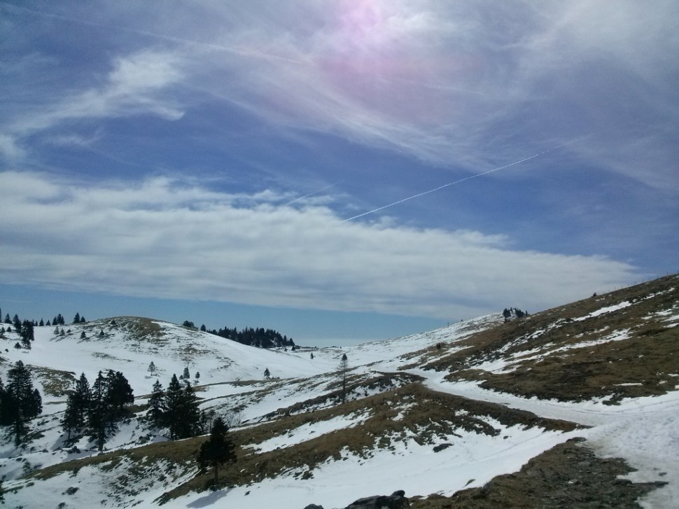 CAM04172 (1024 x 768)