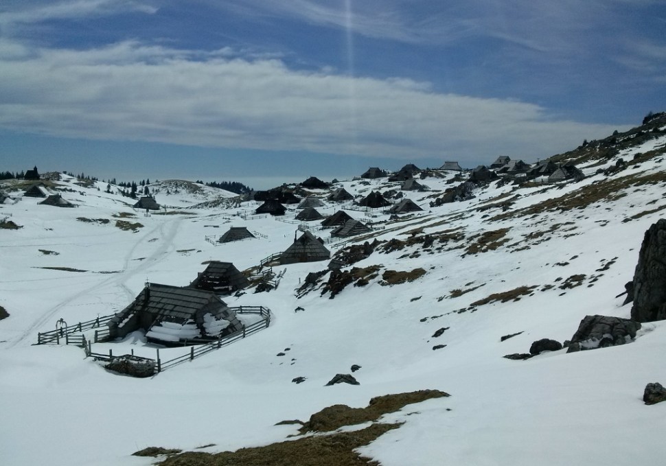 CAM04181 (1024 x 717)