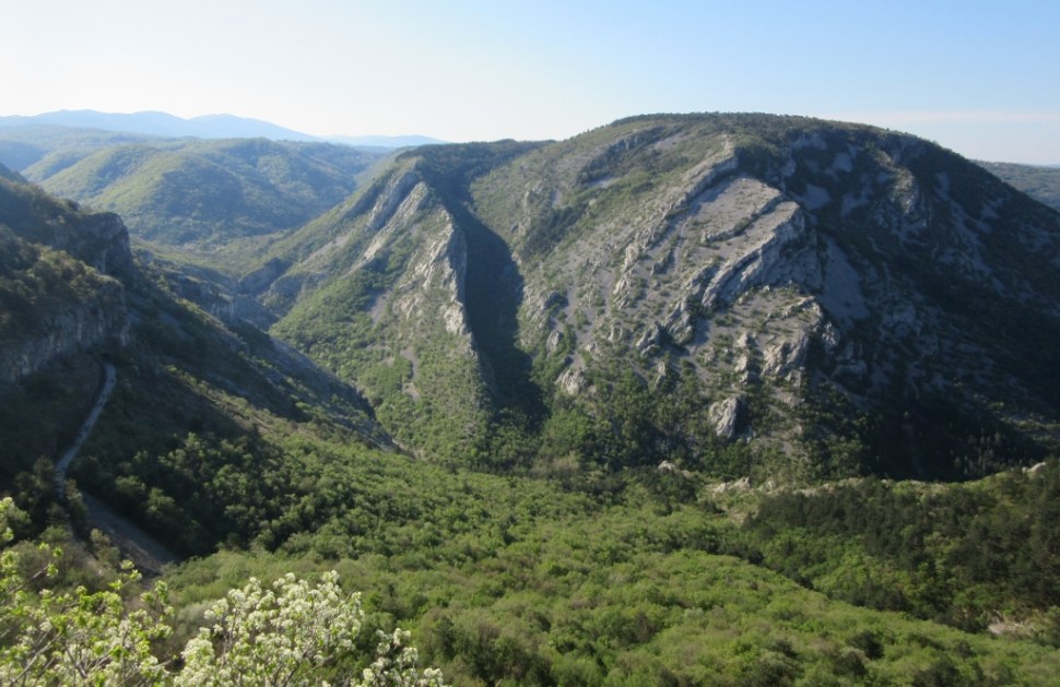 IMG_0001 (1024 x 665)