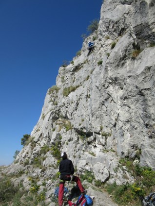 IMG_0007 (768 x 1024)