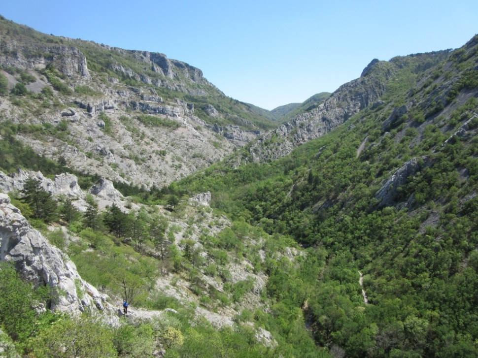 IMG_0019 (1024 x 768)