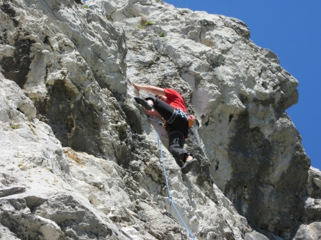 IMG_0080 (1024 x 768)