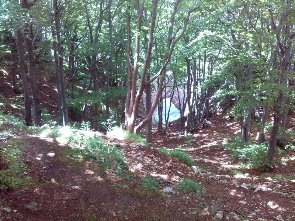 CAM04384 (1024 x 768)