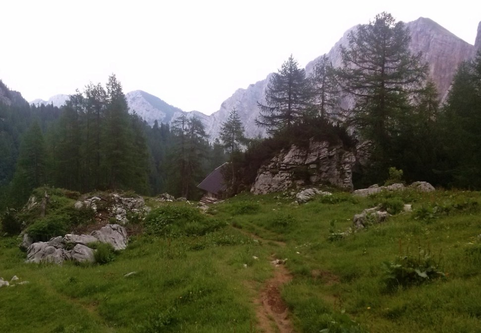 CAM04507 (1024 x 710)