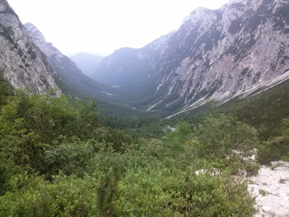 CAM04508 (1024 x 768)