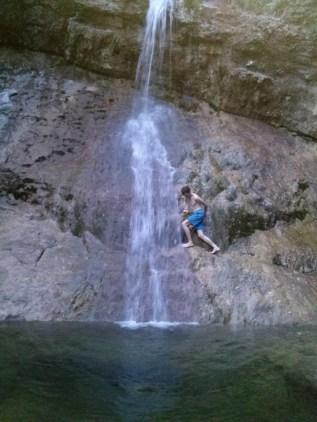 CAM04911 (768 x 1024)