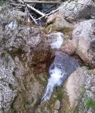 CAM04955 (536 x 640)