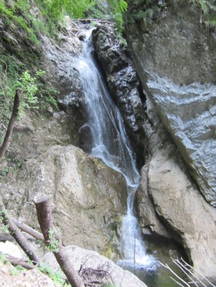 IMG_0002 (768 x 1024)