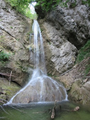 IMG_0019 (768 x 1024)