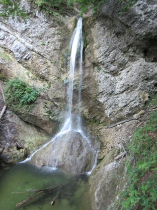 IMG_0033 (768 x 1024)