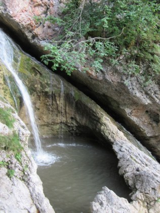 IMG_0043 (768 x 1024)