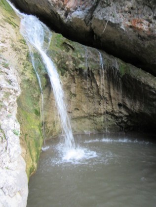 IMG_0048 (768 x 1024)