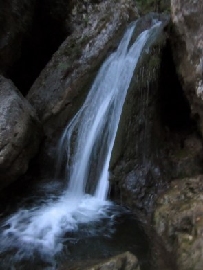 IMG_0062 (768 x 1024)