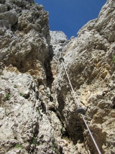 IMG_0117 (600 x 800)