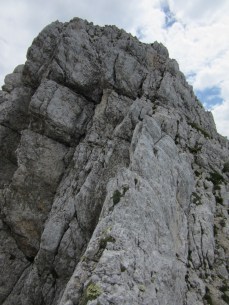 IMG_0158 (768 x 1024)